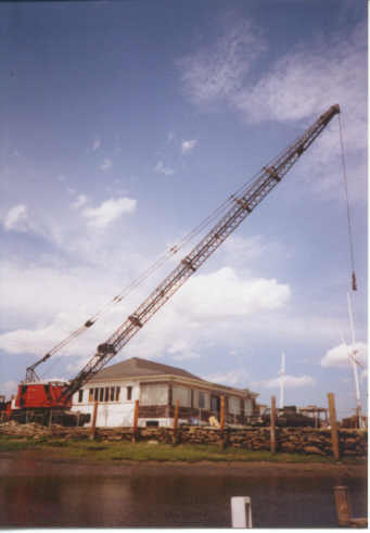 crane 1994